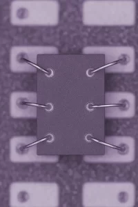 Chip Assembly-4